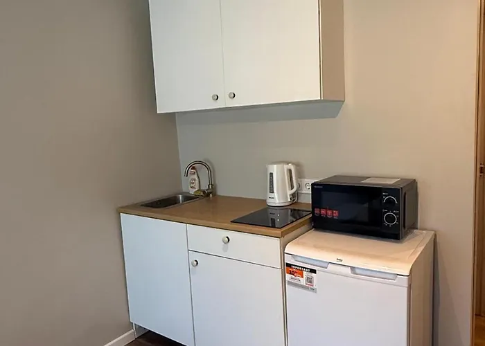 Ll ヴィリニュス